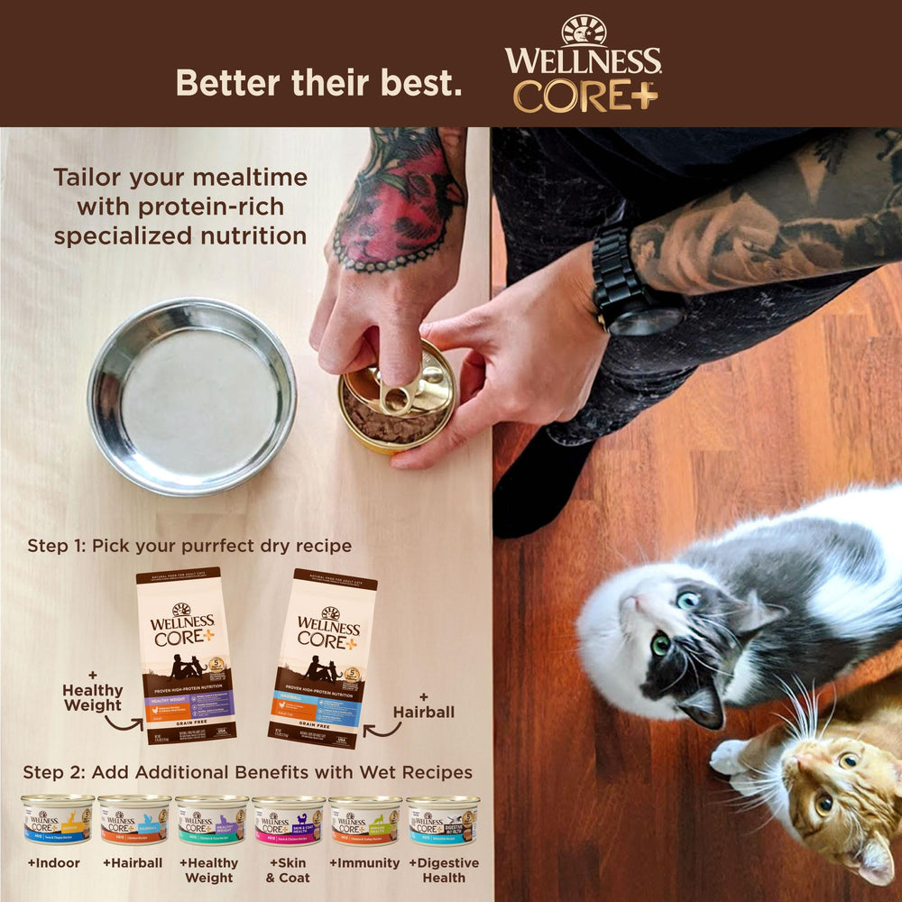 Fibres dans Wellness CORE+ Hairball soutenant la digestion et les boules de poils.