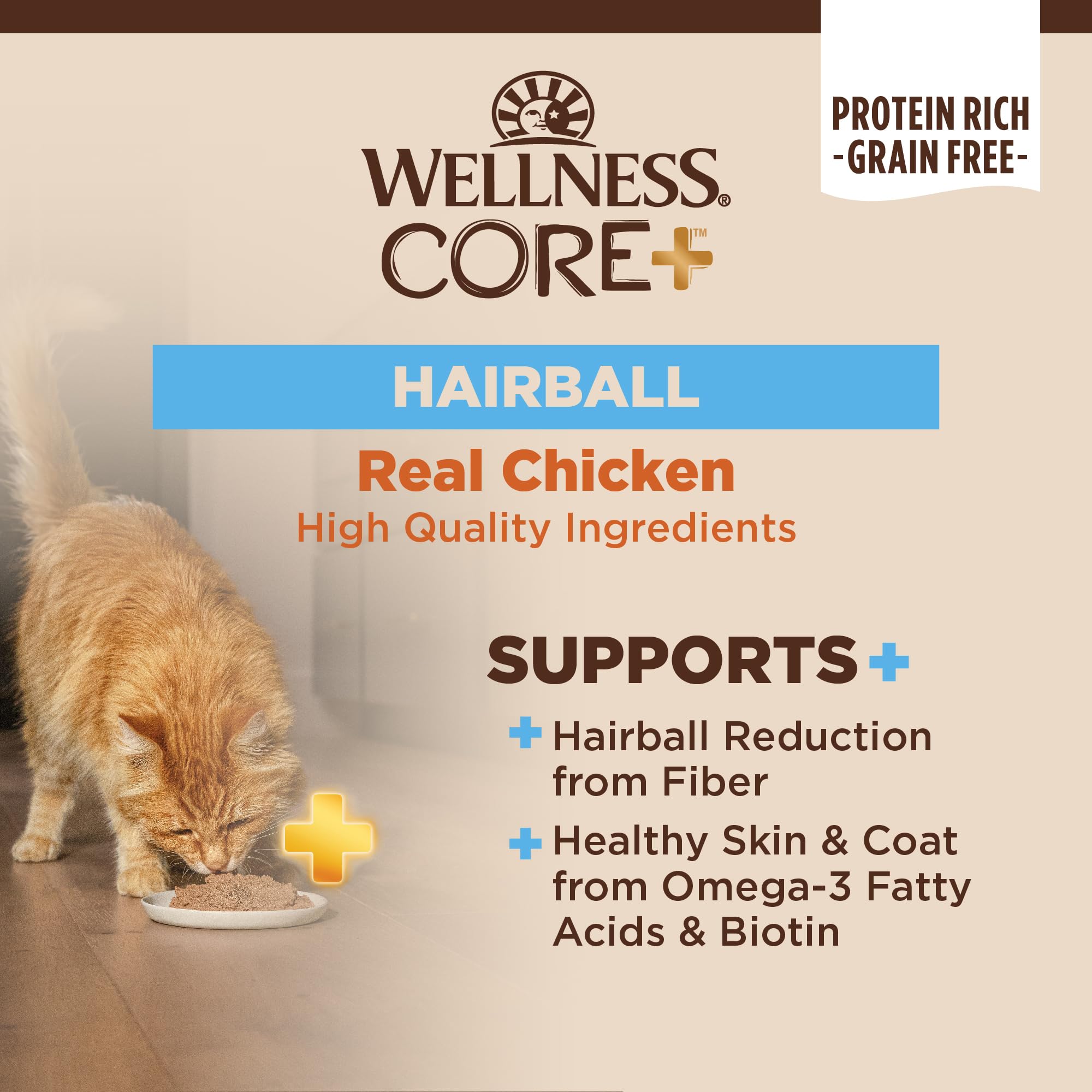 Wellness CORE+ Hairball Pâté Chat Servie dans bol, texture riche et alimentation équilibrée.