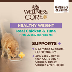 Wellness CORE+ Pâté sans céréales option naturelle pour chats actifs