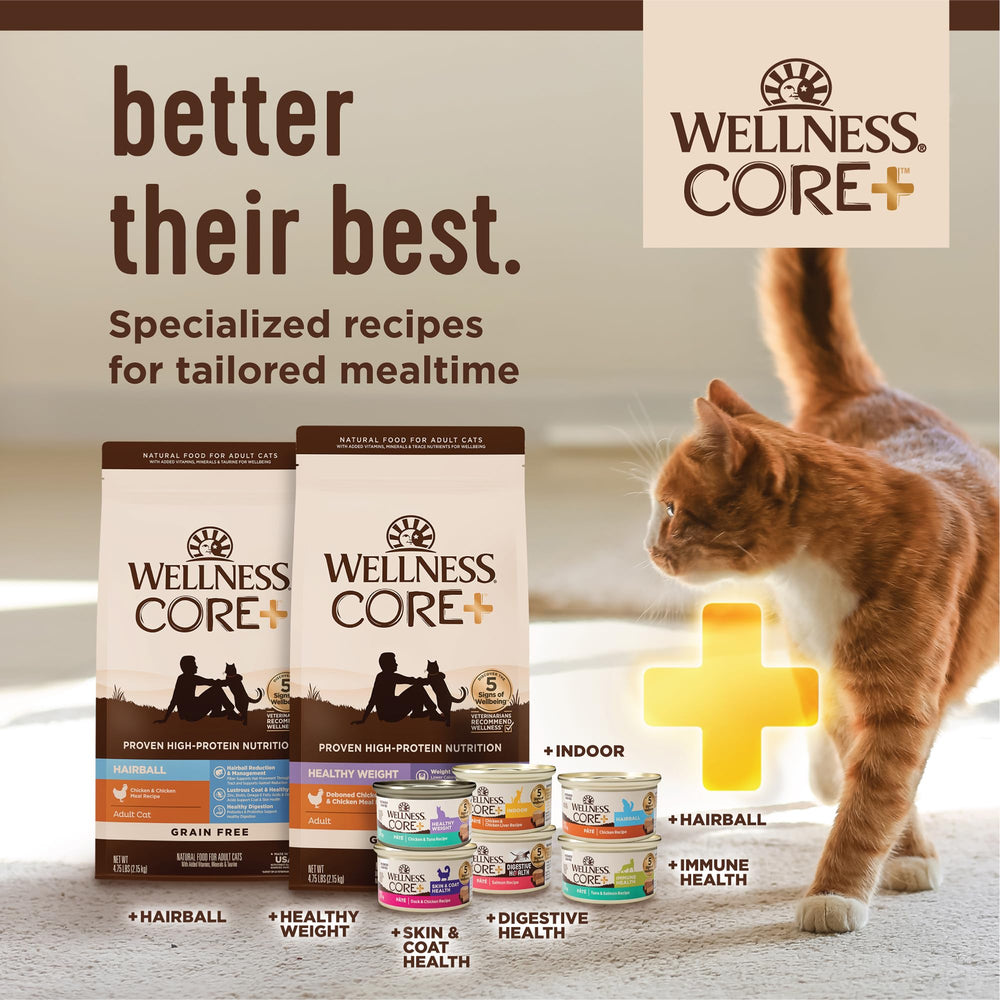 Wellness CORE+ Pâté idéal comme repas principal ou complément humide