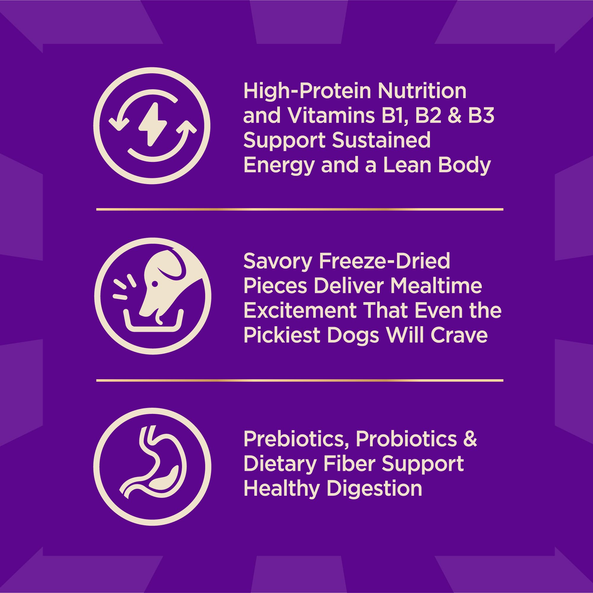 Peau et pelage sains grâce aux oméga Wellness CORE+.