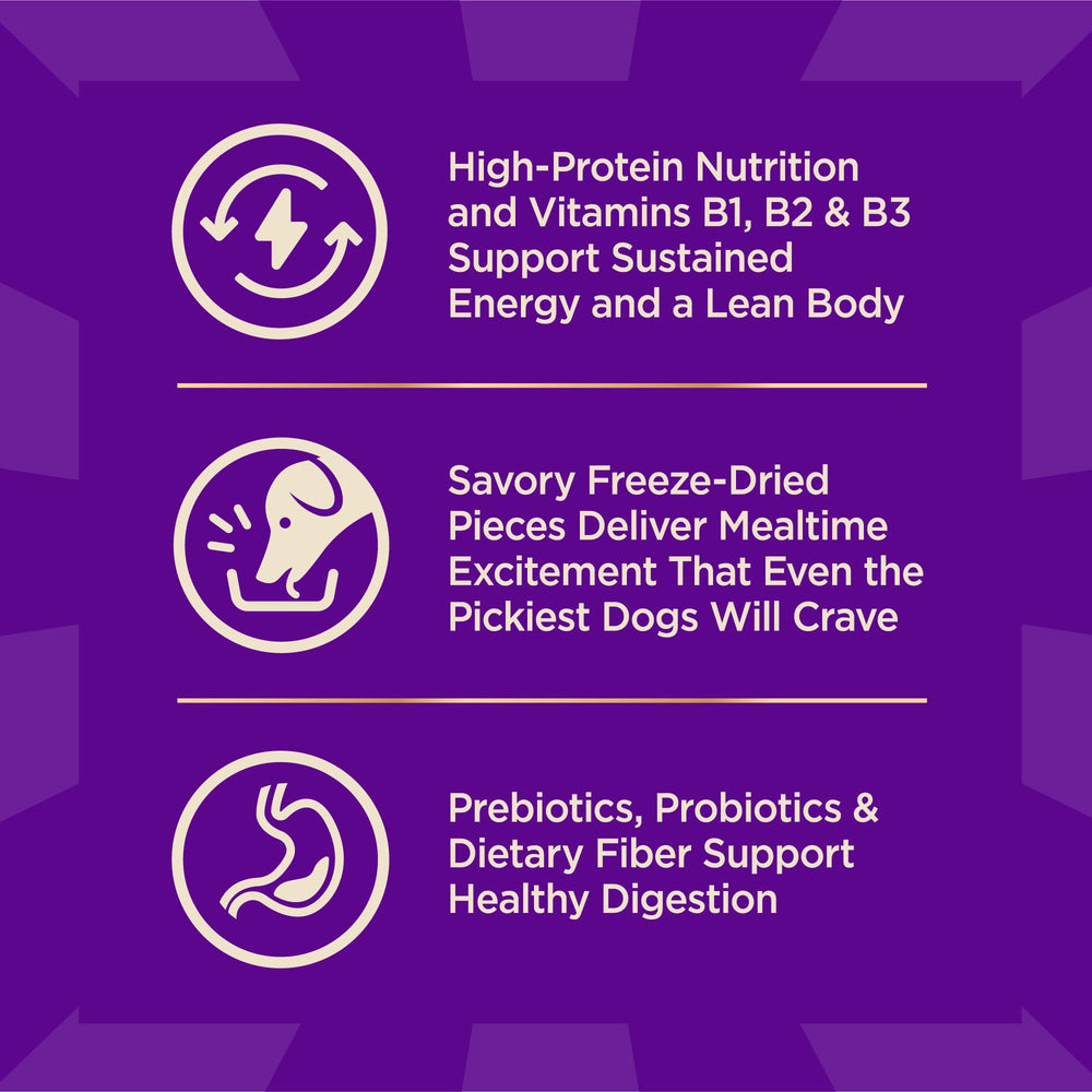 Wellness CORE+ formule sans céréales, digestion facilitée et léger à manger.