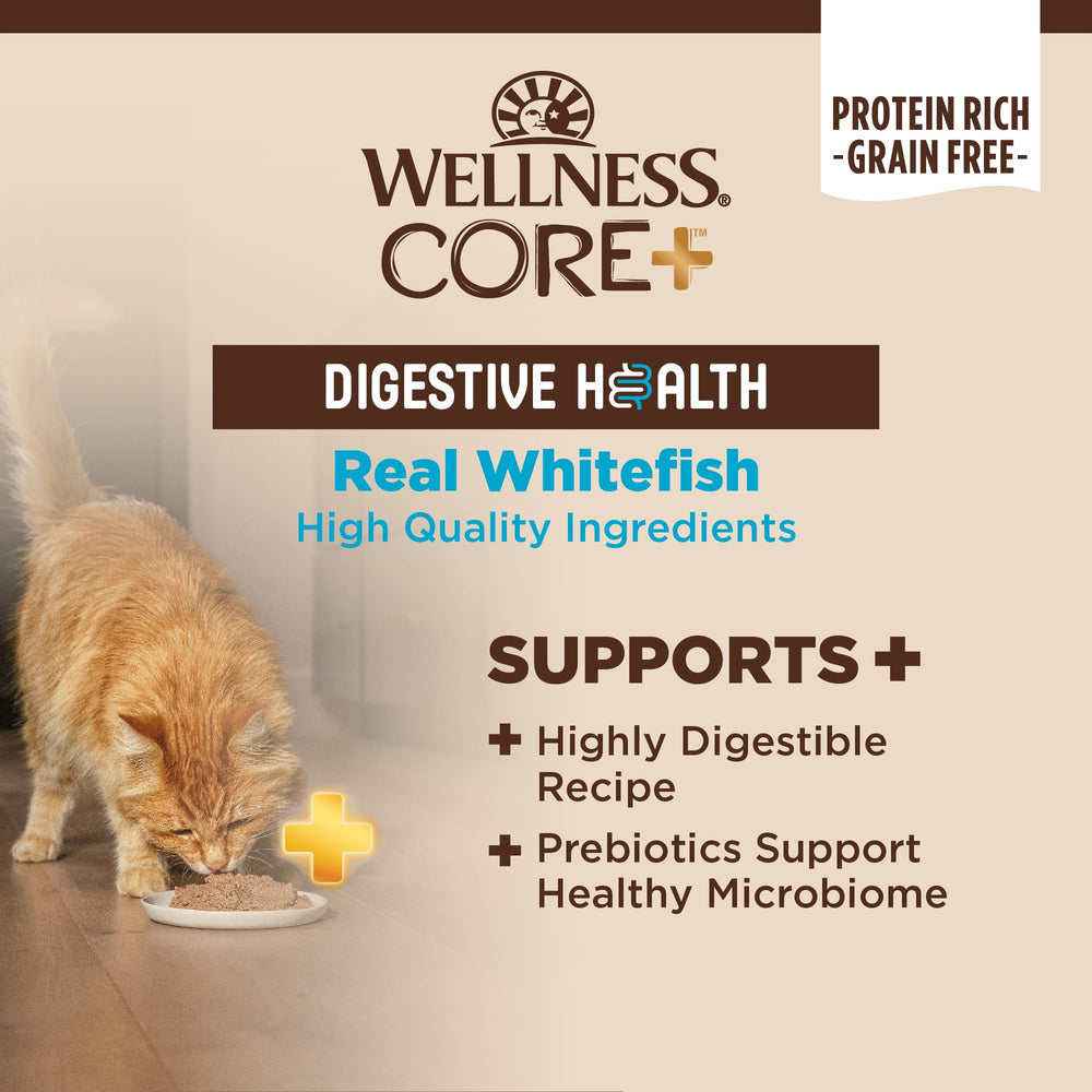 Wellness CORE prebiotiques fibres chat, pate douce favorisant l'hydratation naturelle.
