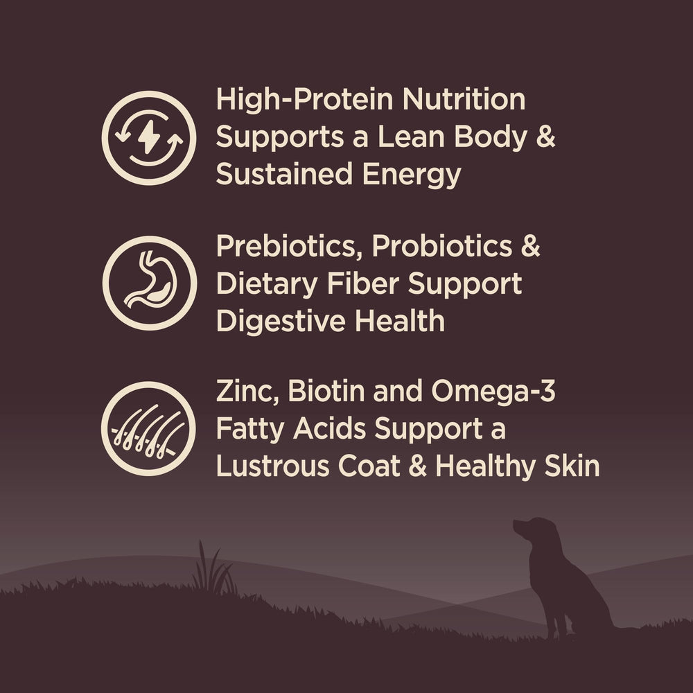 Wellness Core - probiotiques pour digestion et confort intestinal