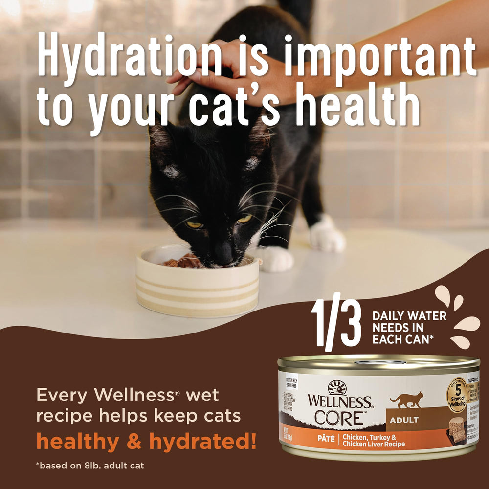 Sans céréales Wellness Core chaton, alternative adaptée