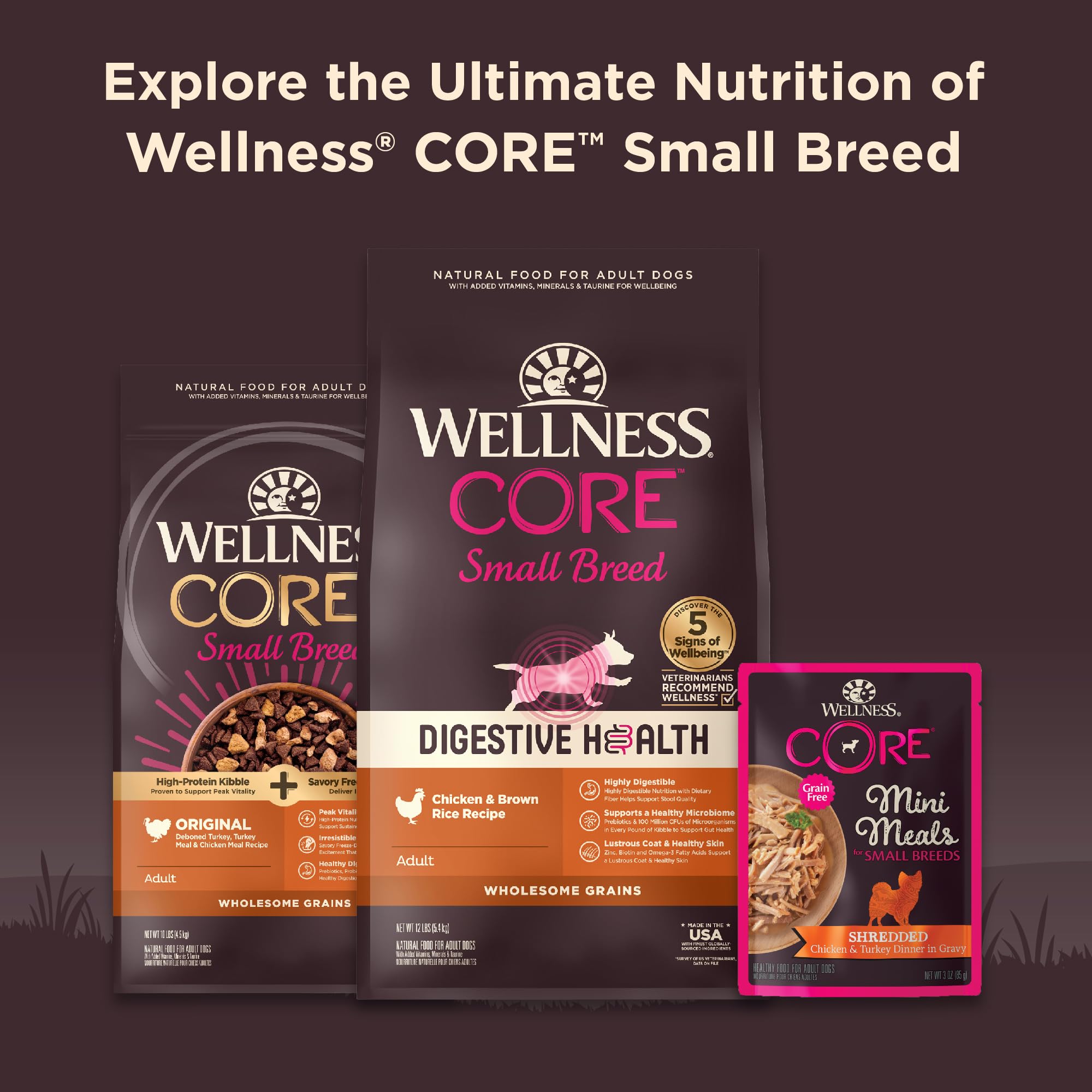 Wellness Core Sans Céréales – ingrédients naturels visibles et qualité.