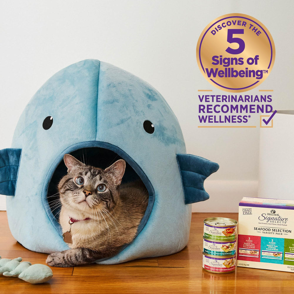 Wellness Core Signature Selects protéines riches, repas nourrissant pour chat.