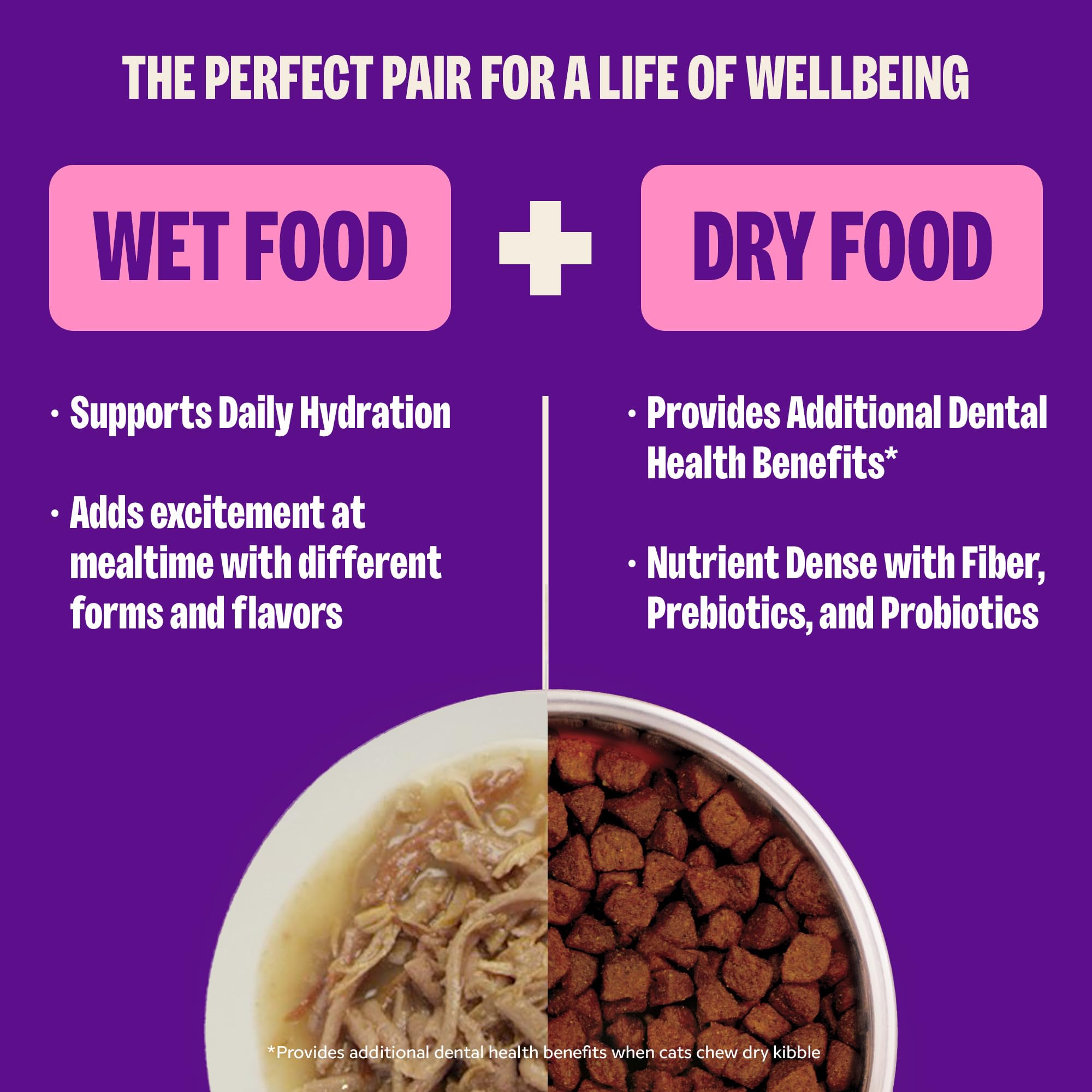 Wellness Core Signature Selects morceaux généreux — texture appétissante pour chat