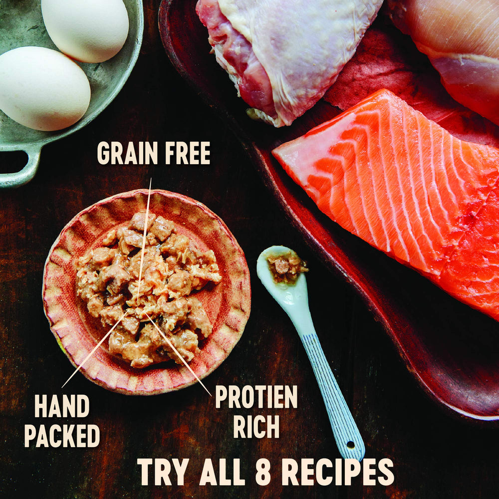 Wellness Core Signature Selects morceaux poisson tendres, saveur naturelle pour chat exigeant.