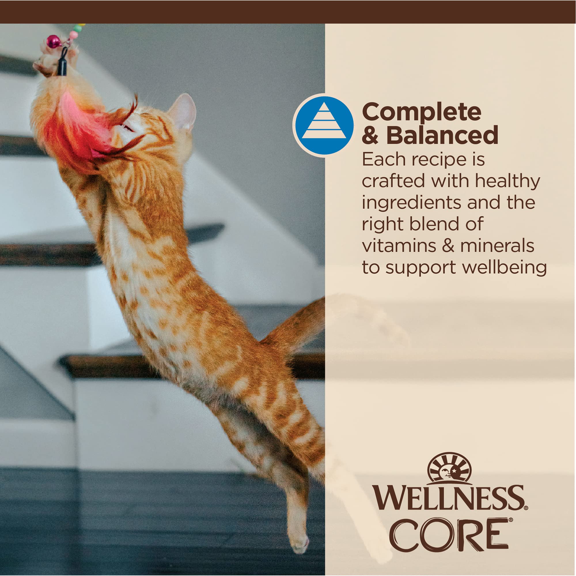 Wellness CORE Tiny Tasters: forte teneur en protéines et goût naturel convaincant.