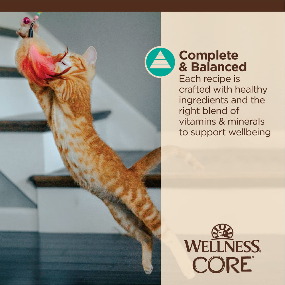 Wellness CORE Tiny Tasters: hydratation quotidienne grâce à la nourriture humide