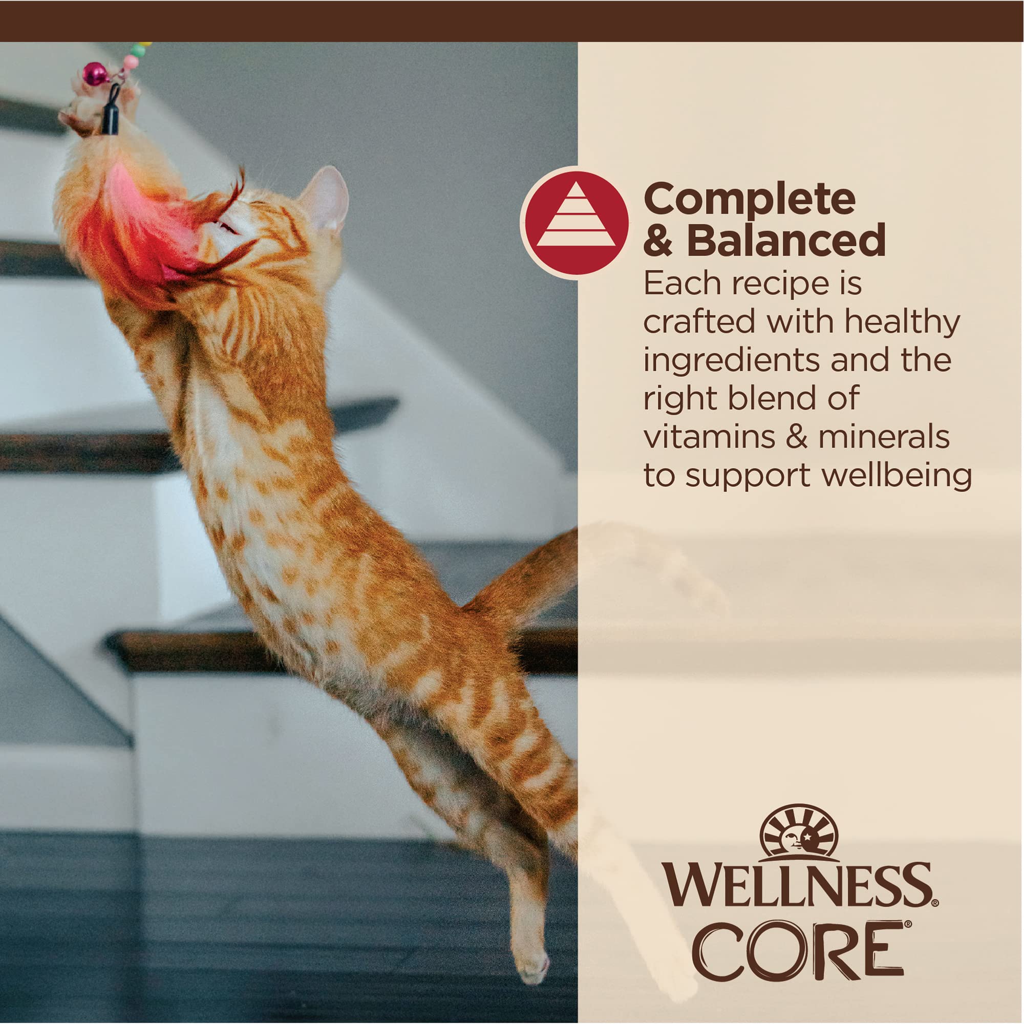 Wellness CORE Tiny Tasters Minced – sans céréales pour une nutrition simple.