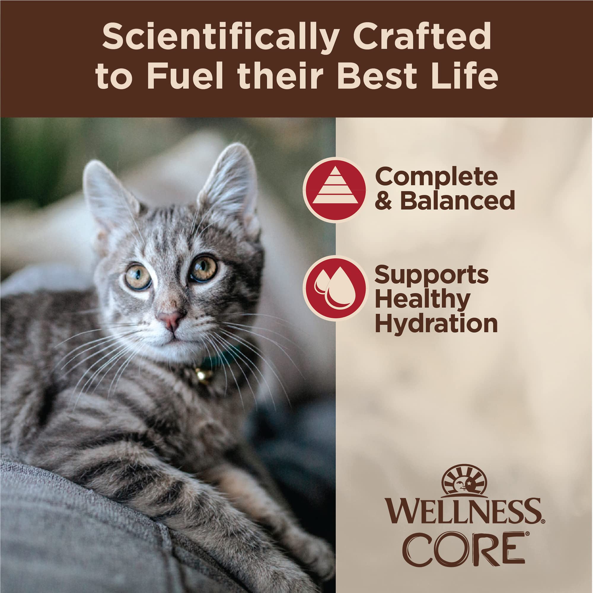 Wellness CORE Tiny Tasters Minced – texture de boeuf haché pour une alimentation naturelle.