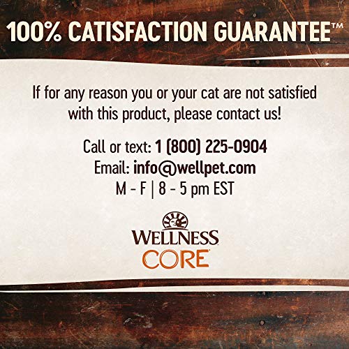 Wellness CORE Tiny Tasters sachet thon-saumon pâté, parfum frais de poisson.