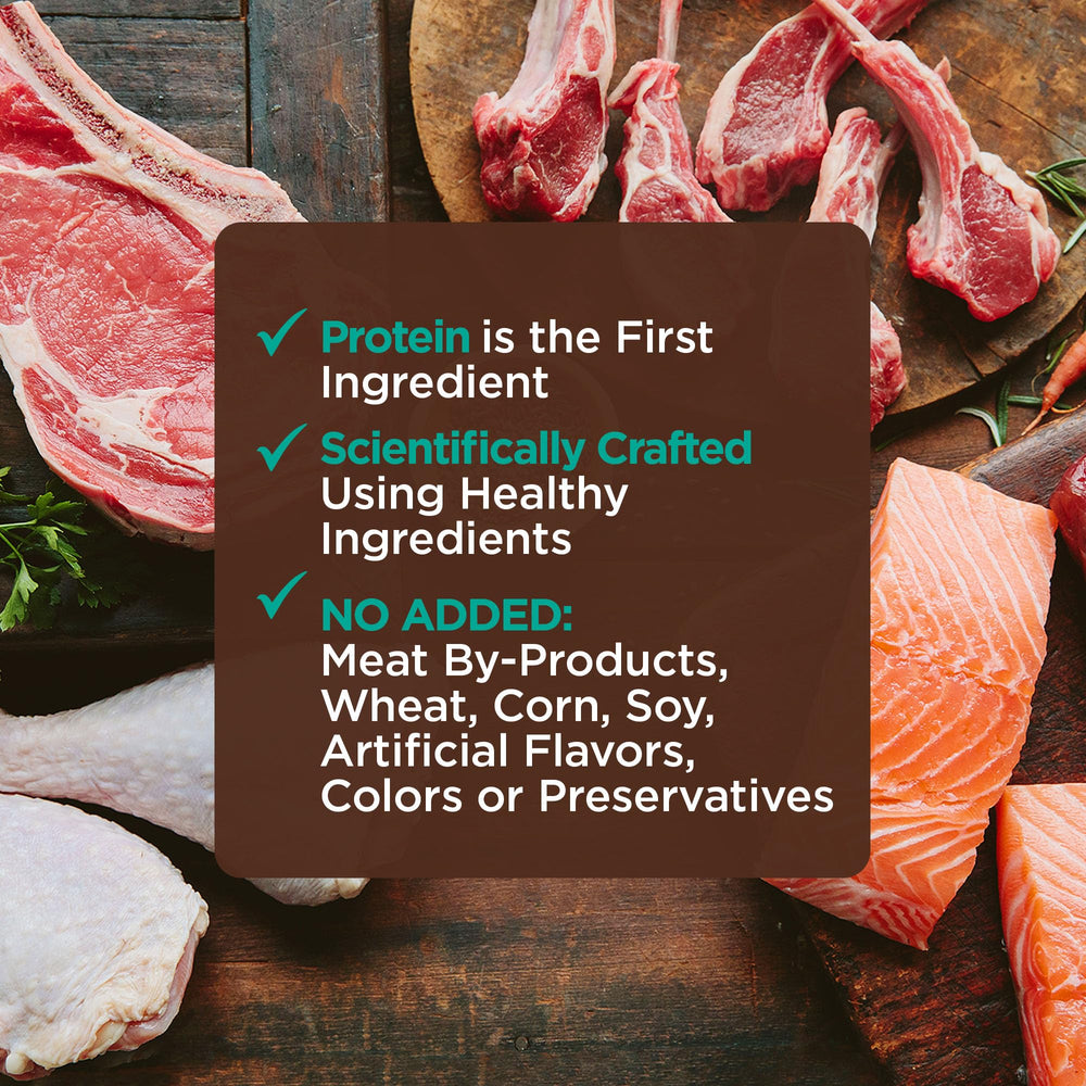 Wellness CORE Tiny Tasters, poulet et boeuf haches, protéines complètes