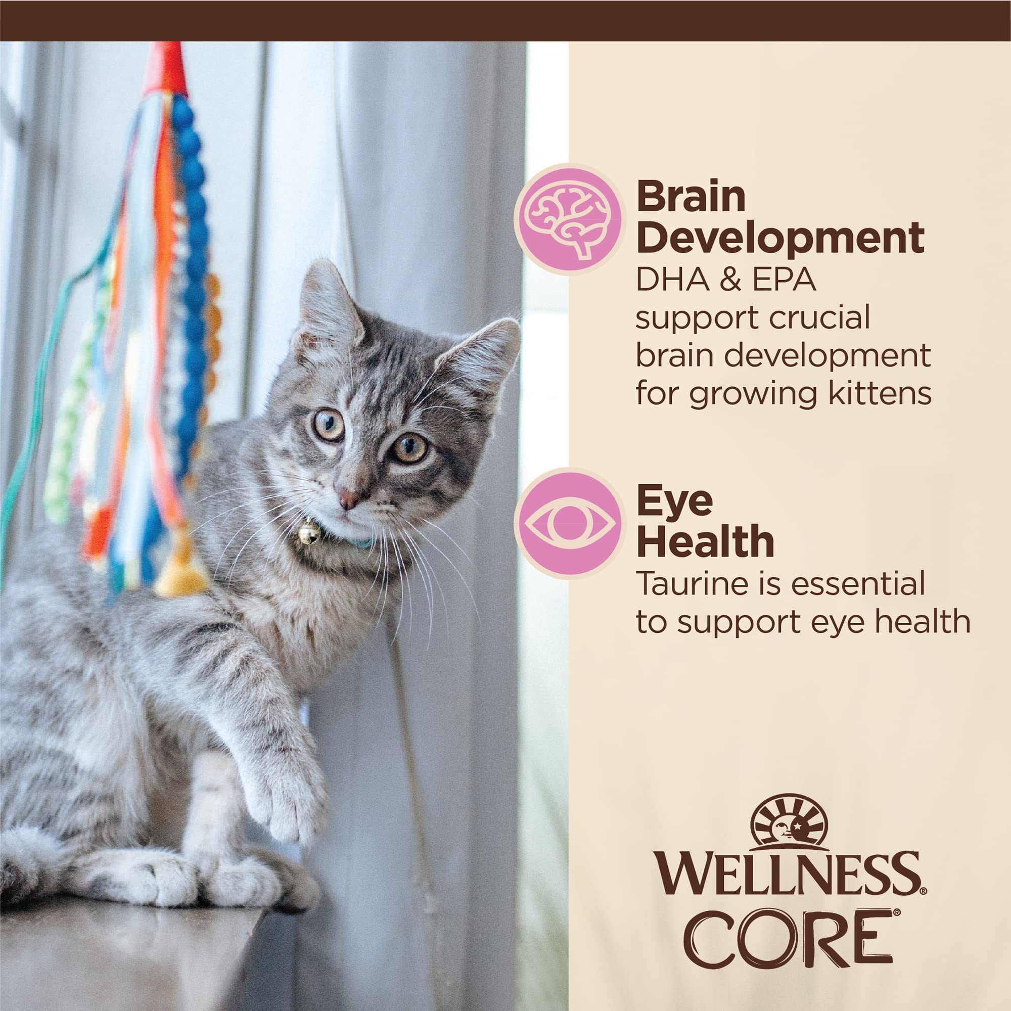 Wellness CORE Tiny Tasters sachet chaton ingredients de qualite : protéines maigres et nutriments essentiels