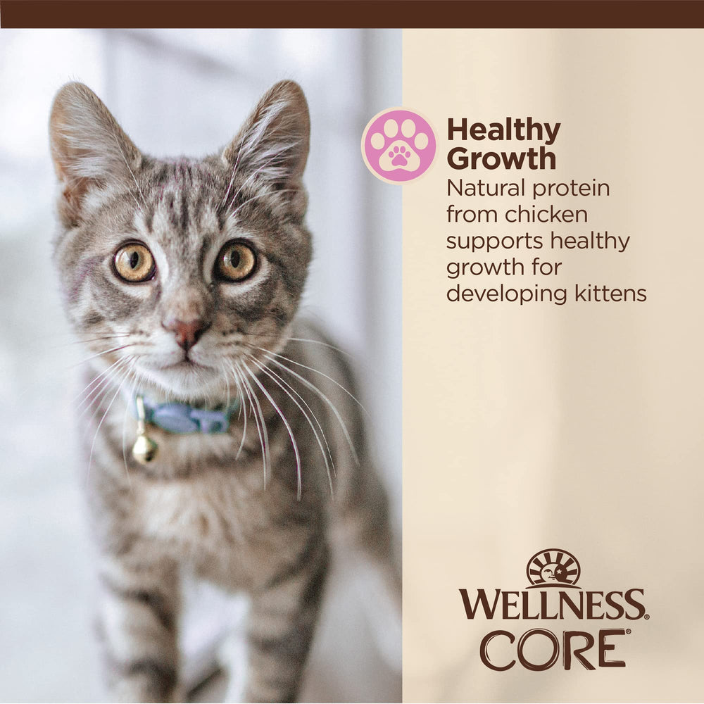 Wellness CORE Tiny Tasters sachet chaton sans additifs : sans additifs artificiels pour le bien-etre