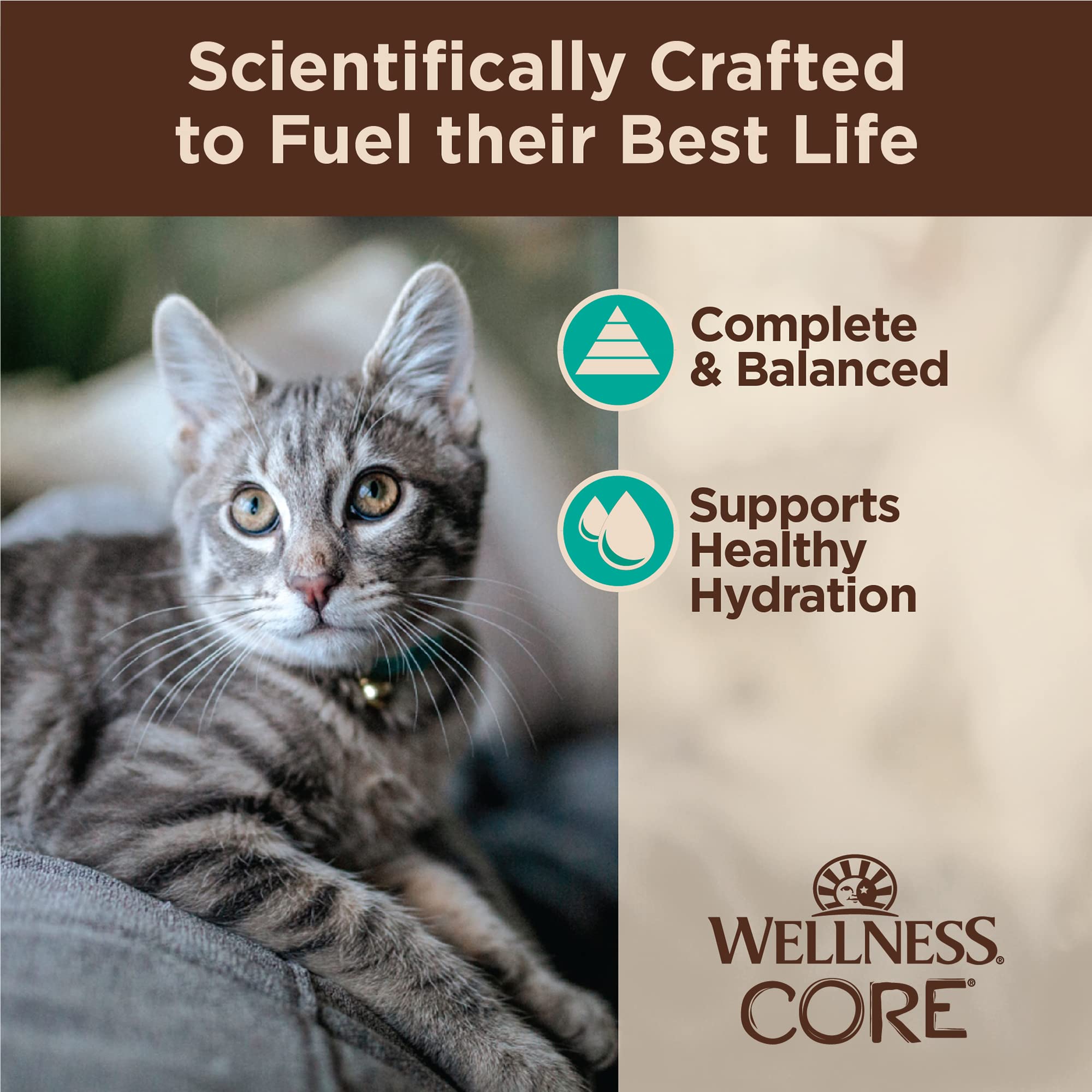 Wellness CORE Tiny Tasters: sans céréales, ingrédients simples et de qualité