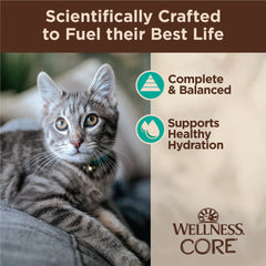 Wellness CORE Tiny Tasters: sans céréales, ingrédients simples et de qualité