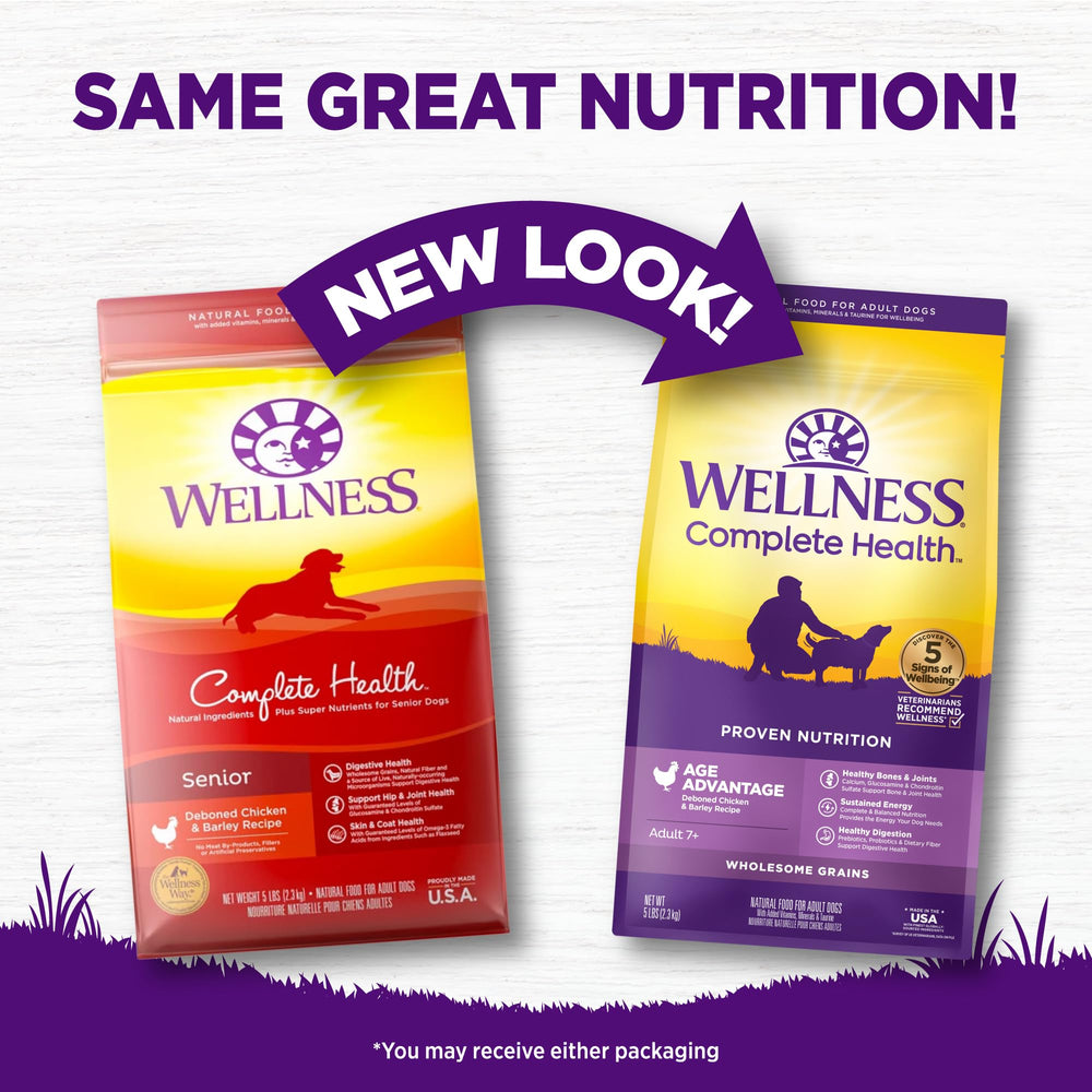 Wellness digestion – probiotiques pour soutenir l'équilibre intestinal.