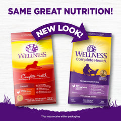 Wellness digestion – probiotiques pour soutenir l'équilibre intestinal.