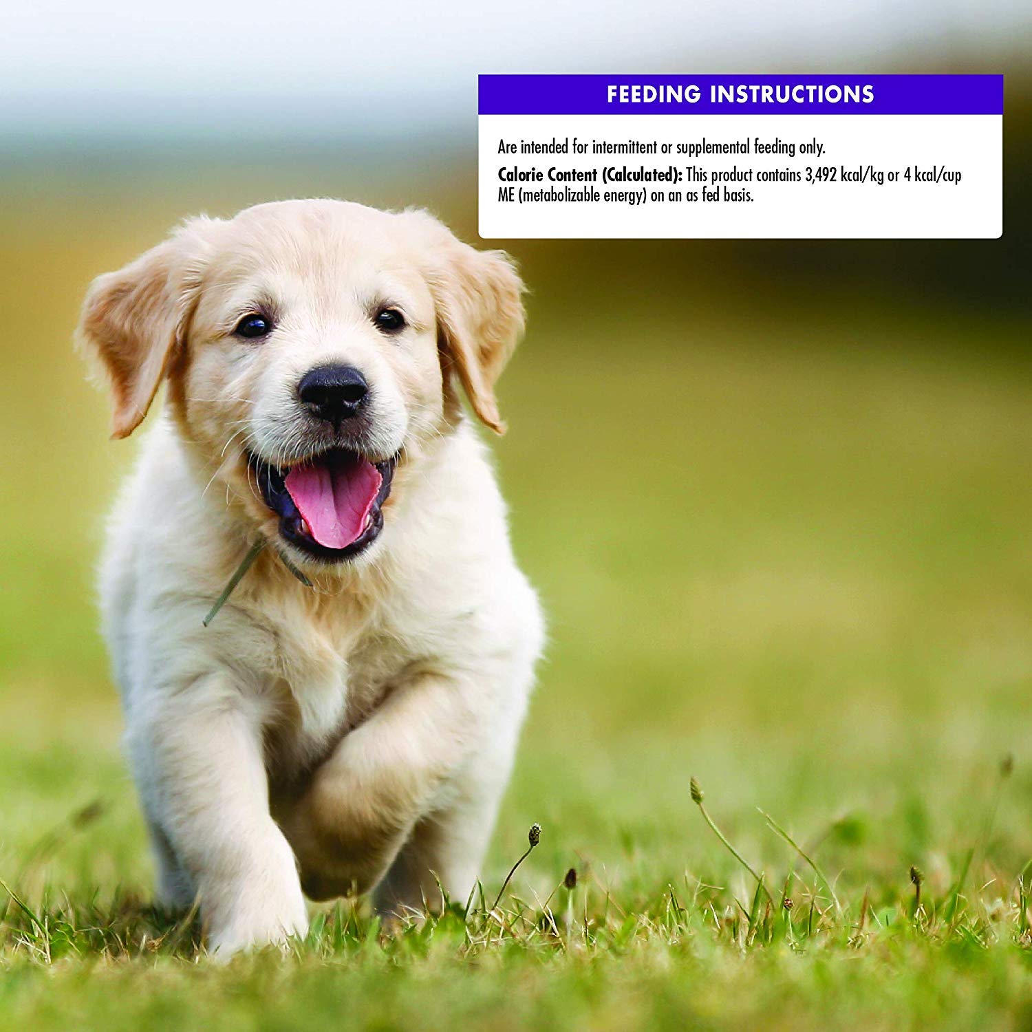 Wellness – emballage pratique pour sorties avec chiots