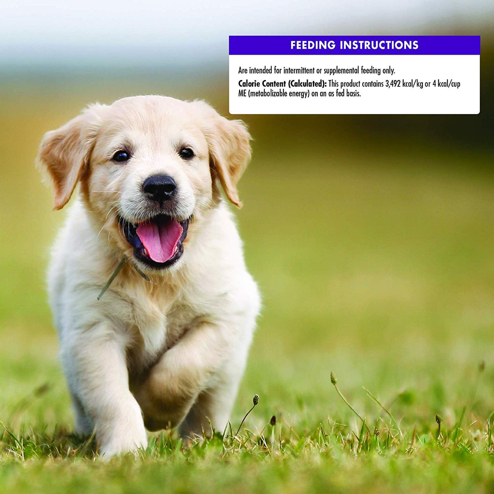 Wellness – emballage pratique pour sorties avec chiots