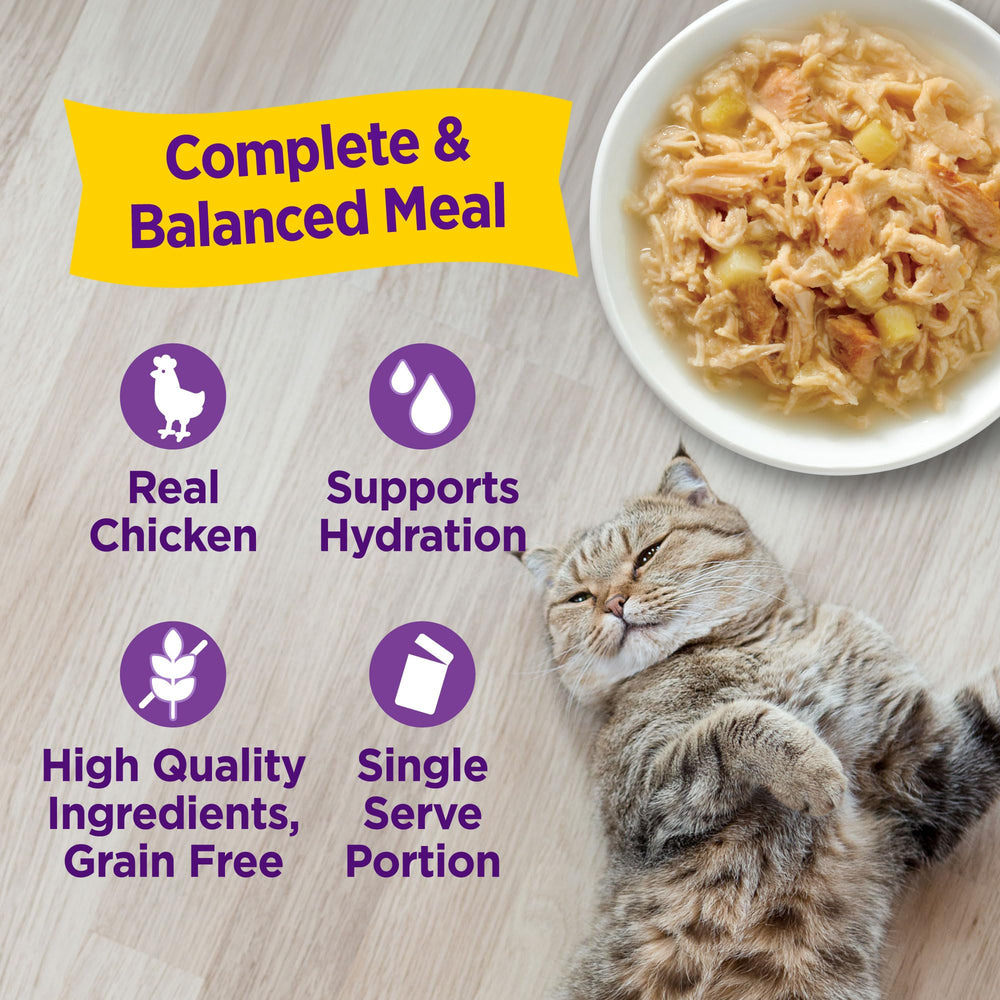 Formats multiples Wellness Appetizing Entrées pour repas variés