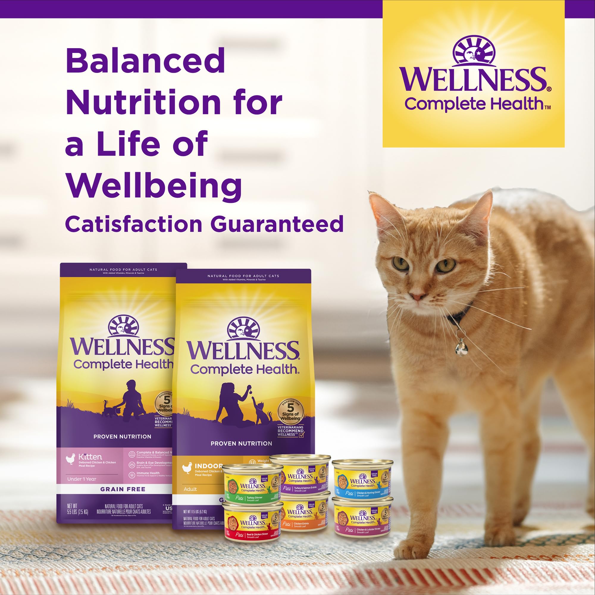 Wellness-fabrication-usa-chat-adulte-saumon: fabriqué aux États-Unis avec exigences élevées.