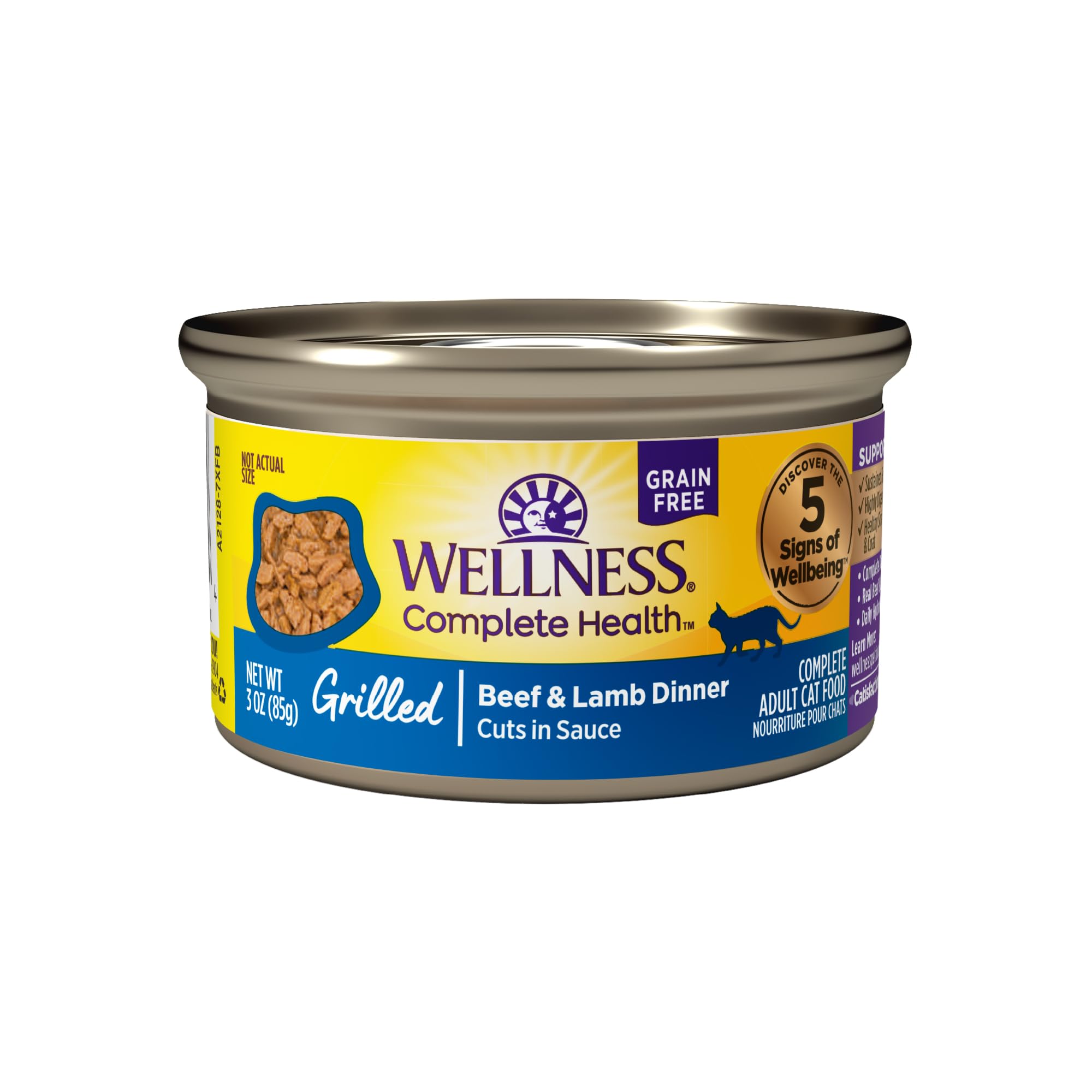 Wellness Grillé boeuf et agneau dans une assiette appétissante