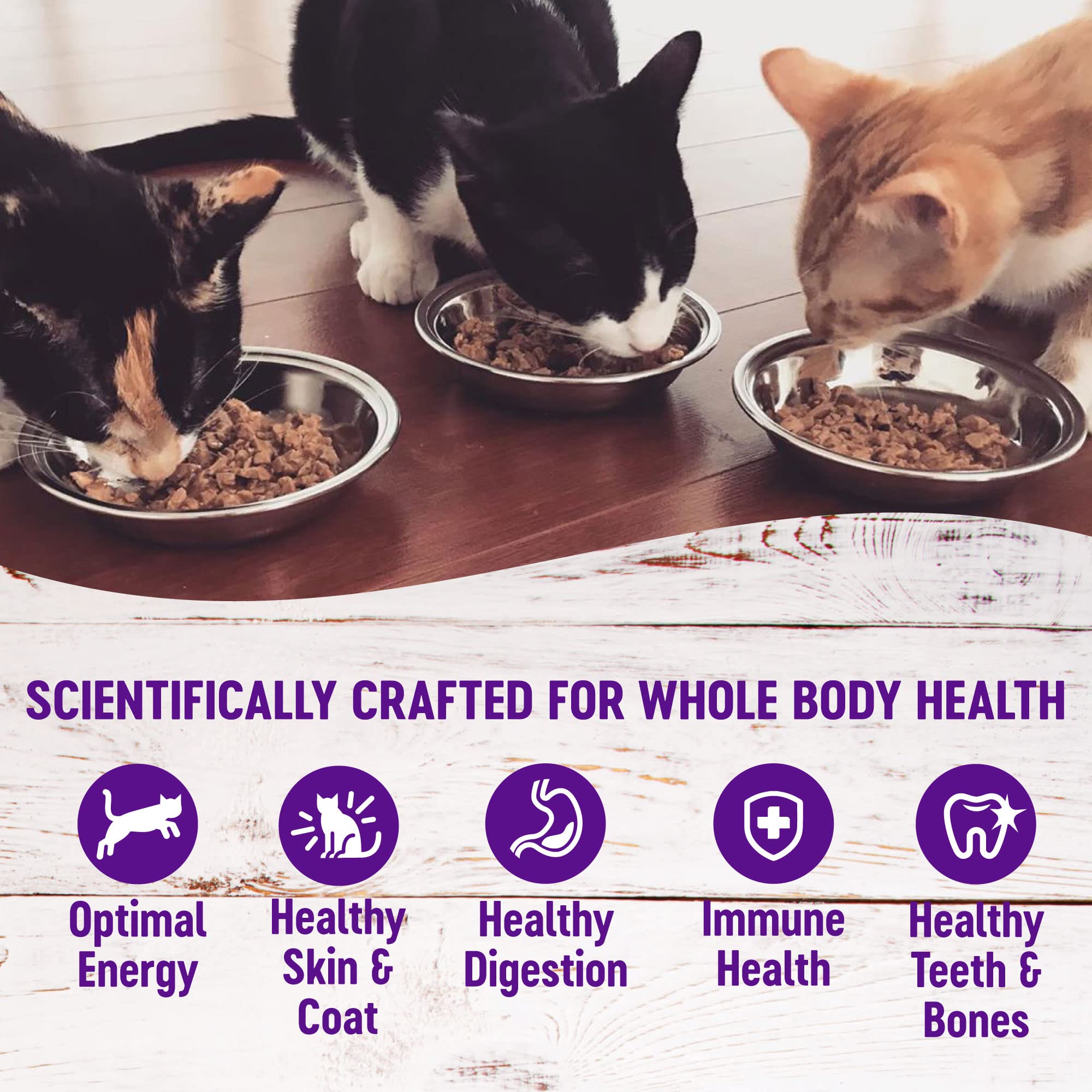 Formule sans céréales Wellness Gravies pour chats adultes.
