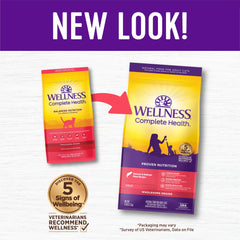 Wellness-ingrédients-naturels-chat-adulte-saumon: ingrédients naturels et alimentation équilibrée.