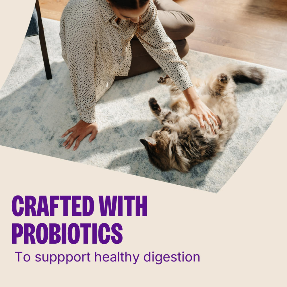 Wellness Kittles chat – friandises adaptées à tous les stades de vie