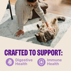Wellness Lickable Treats chat adulte récompense lors du jeu