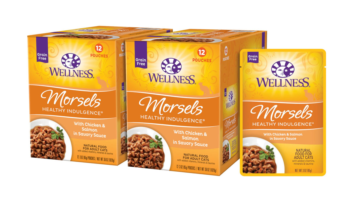 Wellness Morsels pour chat: sachet poulet et saumon, repas pratique et protéiné