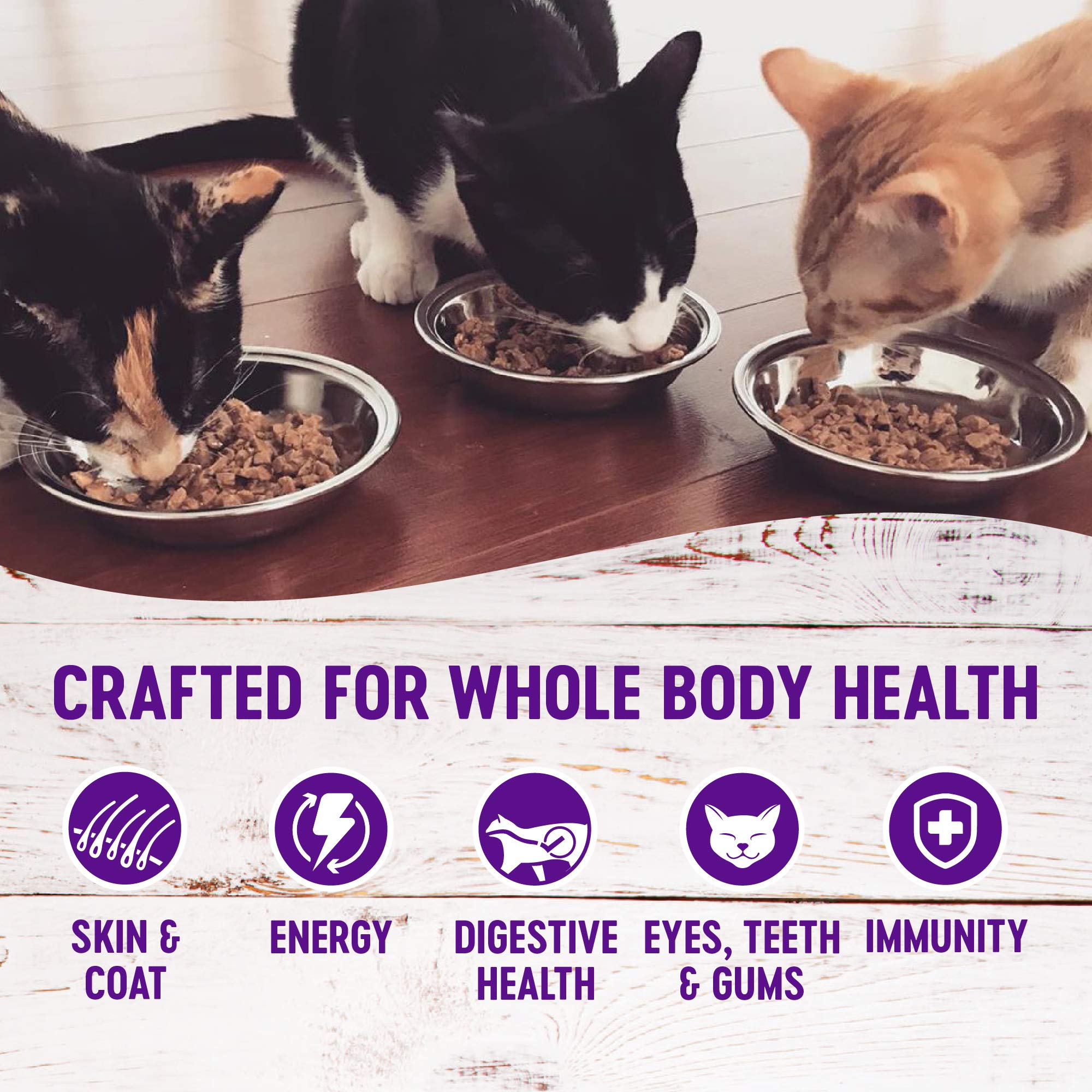 Wellness Nourriture Chat: ingrédients naturels et texture attrayante pour les repas quotidiens.