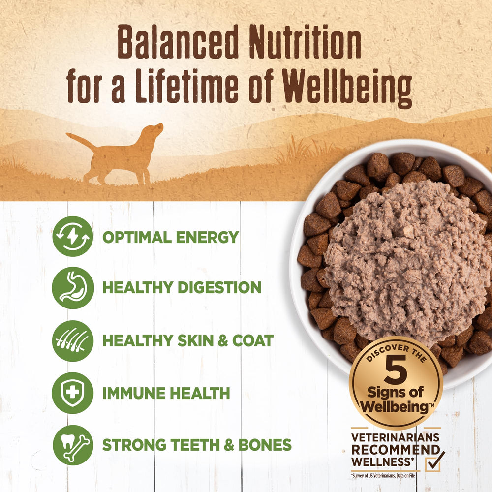 Wellness Pâte d'agneau sans céréales texture lisse pour chiens