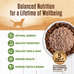 Wellness Pâte d'agneau sans céréales texture lisse pour chiens