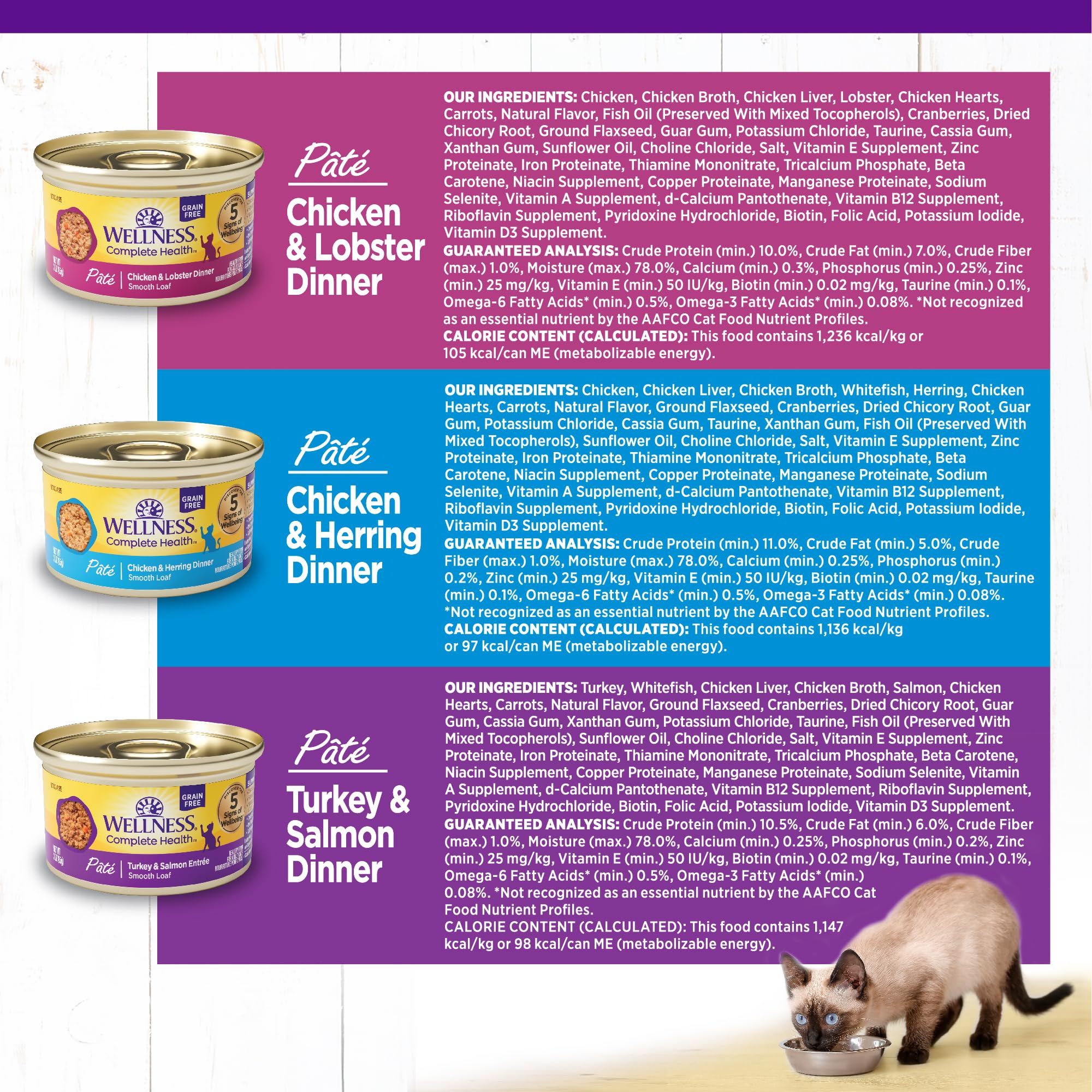 Wellness Pâté chat adulte variété 24 boîtes, assortiment pour rotation des saveurs.