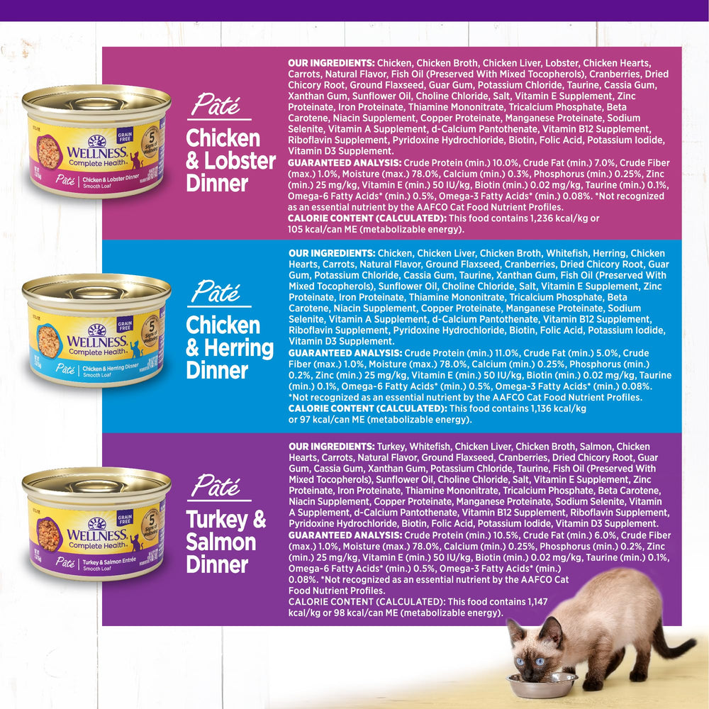 Wellness Pâté chat adulte variété 24 boîtes, assortiment pour rotation des saveurs.