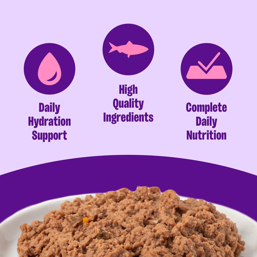 Texture veloutée Wellness pour chaton, idéale pour les repas quotidiens.