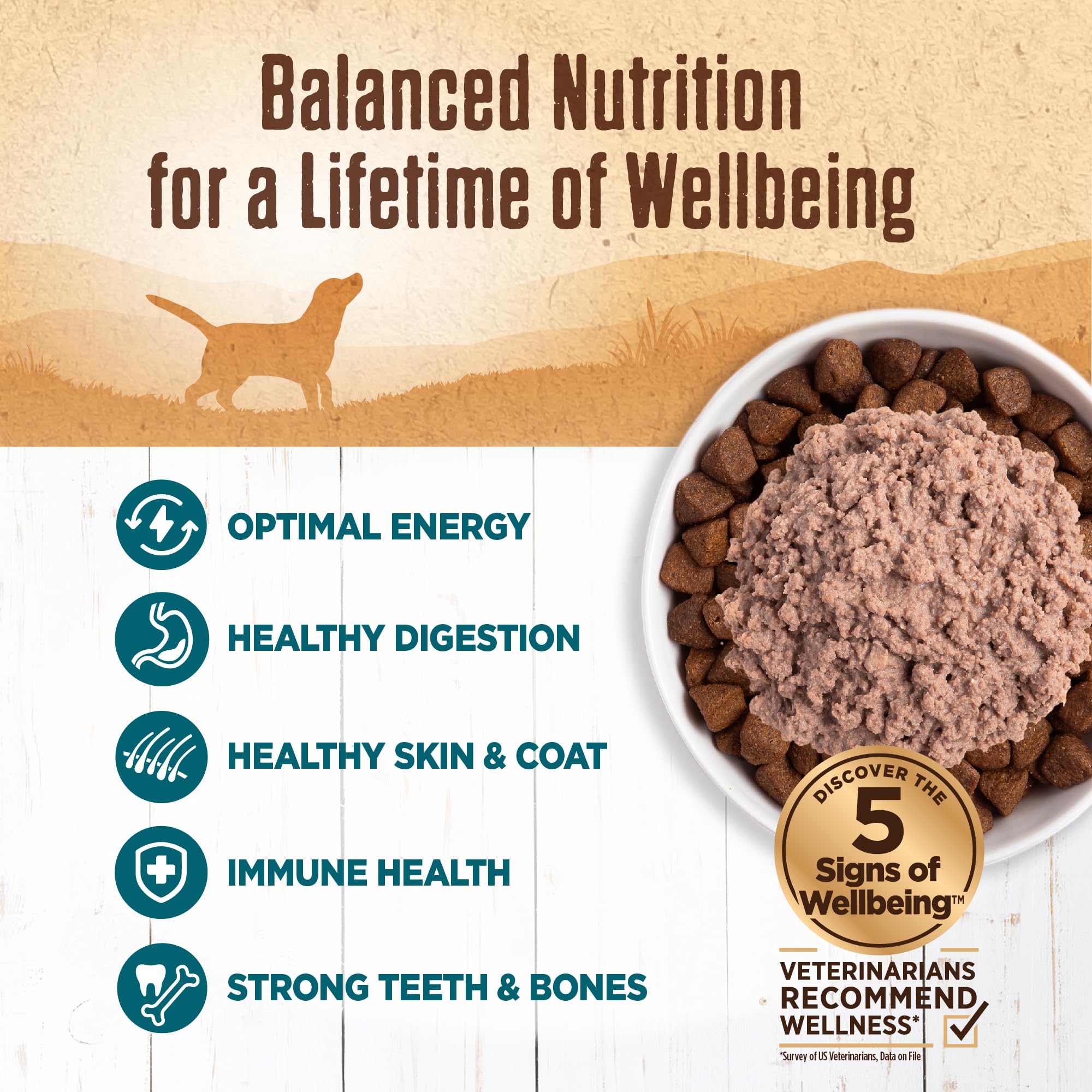 Wellness pâté lisse — texture douce pour une dégustation facile.