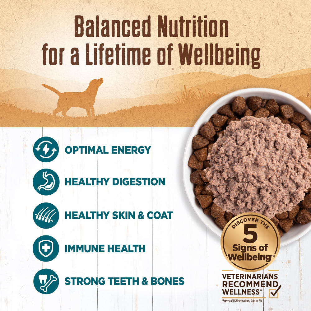 Wellness pâté lisse — texture douce pour une dégustation facile.
