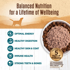Wellness pâté lisse — texture douce pour une dégustation facile.