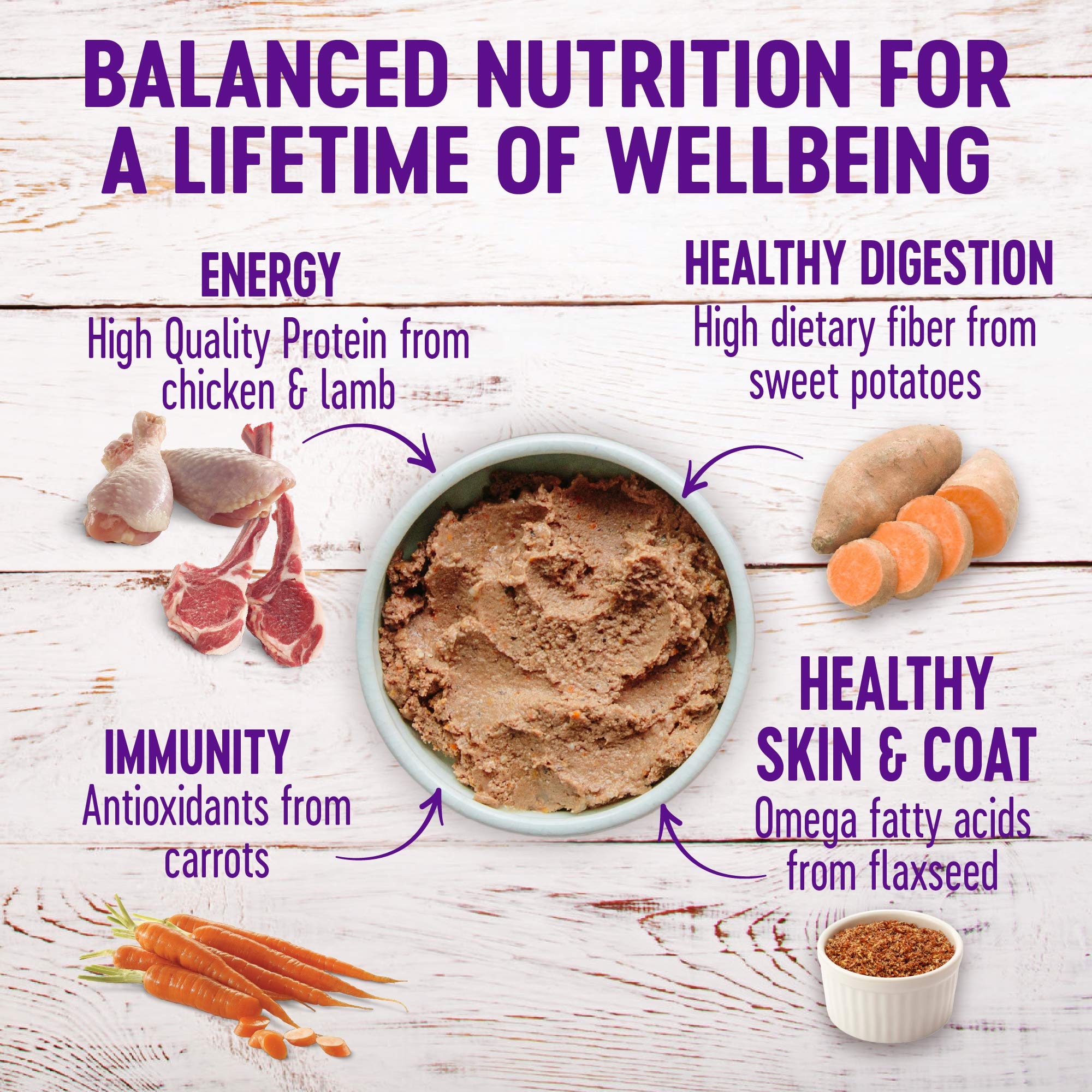 Texture pâté lisse Wellness, appétissante et facile à manger pour chiens adultes.