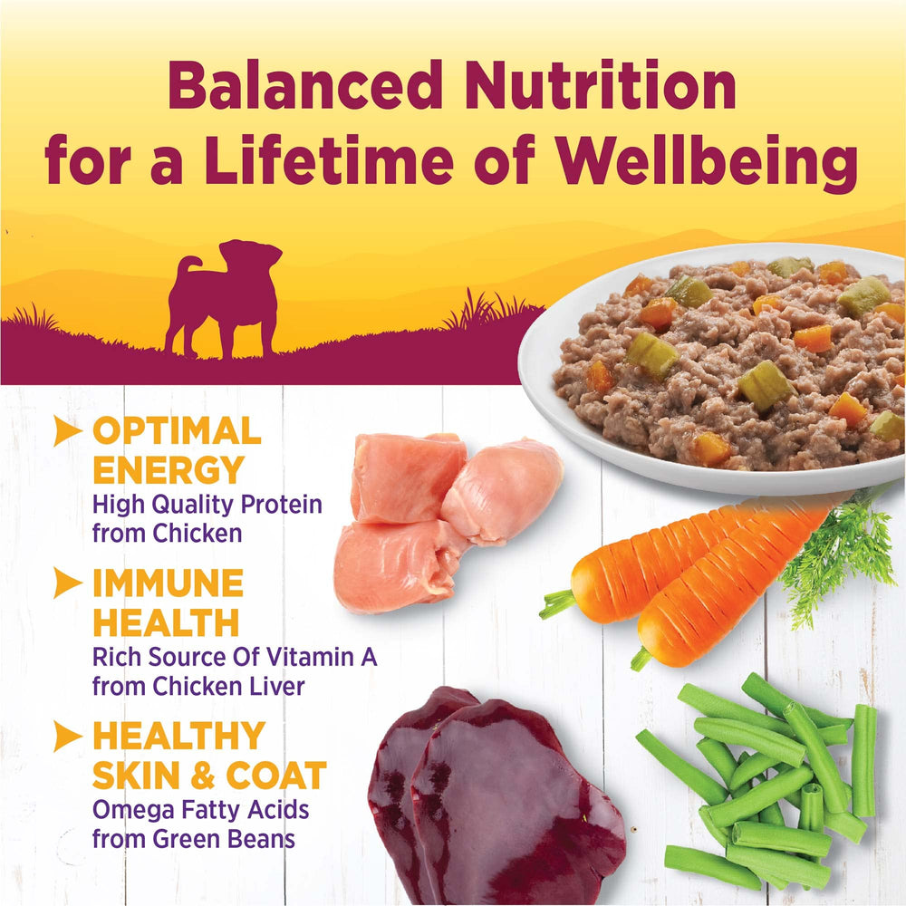 Wellness Petite Entrées Casserole : sauce savoureuse pour petits chiens.