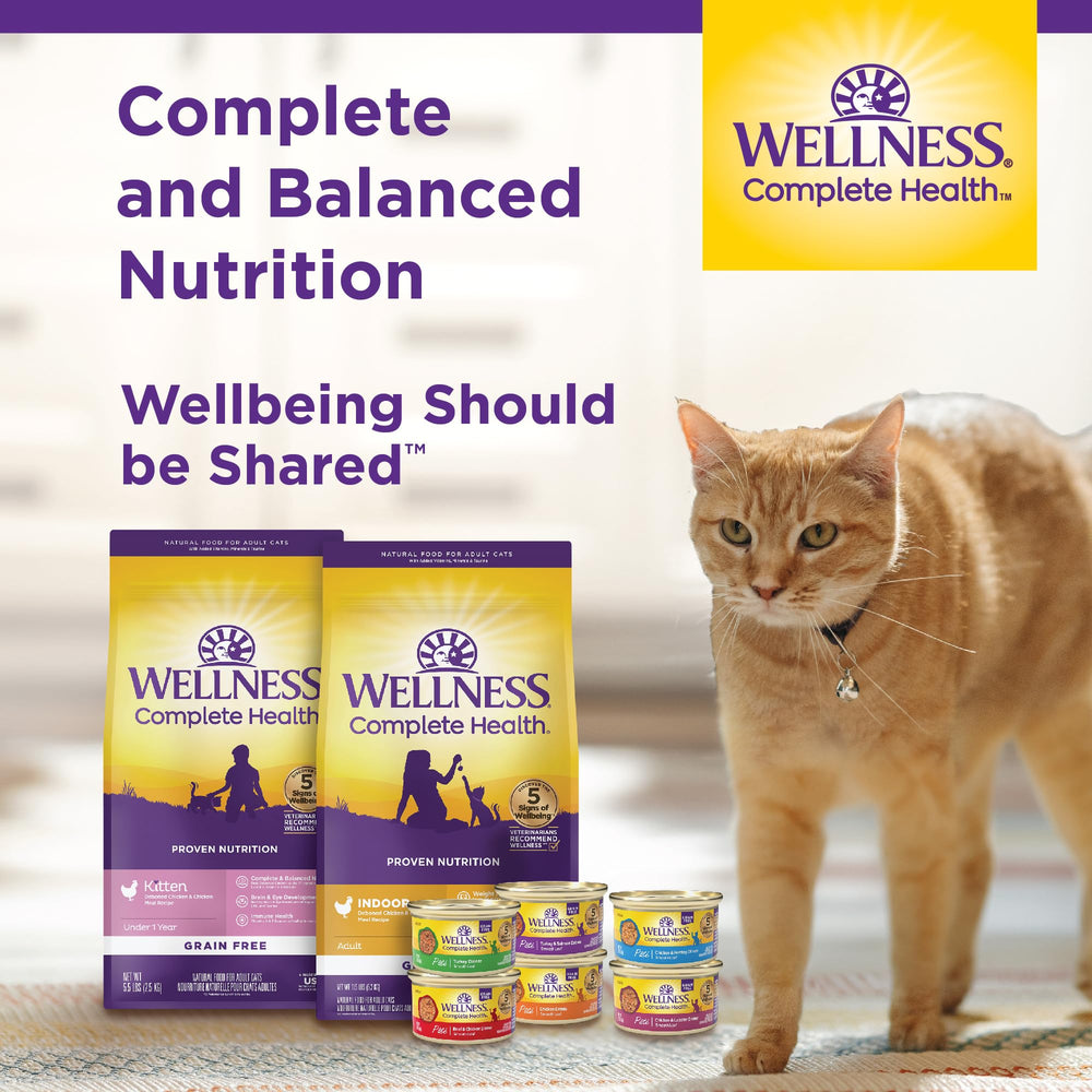 Wellness Plat quotidien, saumon en entrée pratique pour varier les repas.
