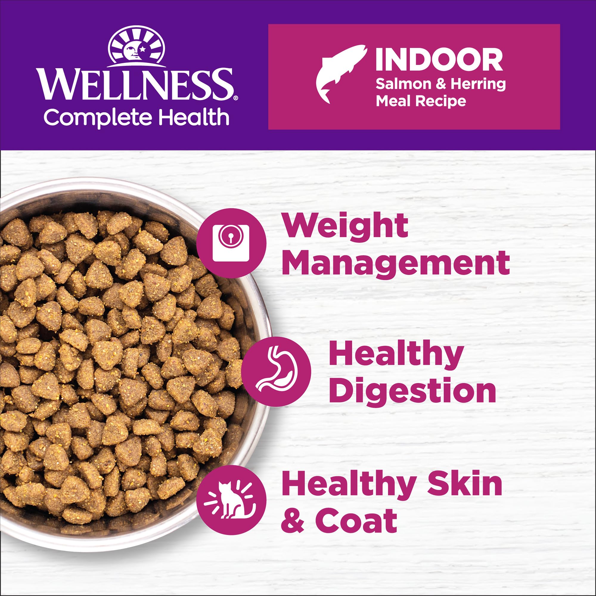 Wellness protéines saumon et hareng pour chat intérieur.