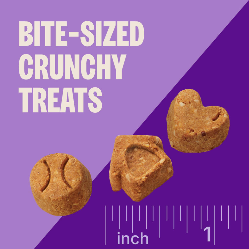 Ingrédients simples et naturels de Wellness pour chiots sans artificiels.
