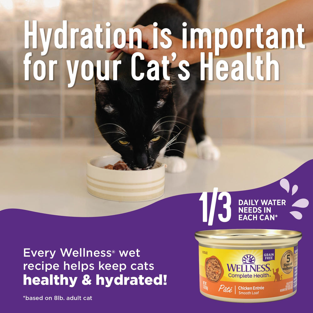 Variétés grill Wellness pour varier les repas du chat.